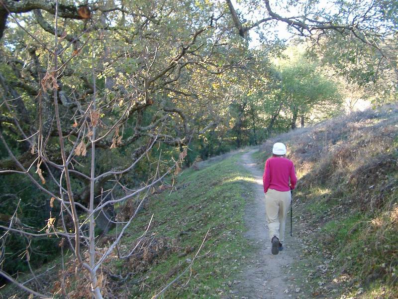 Recommended Walks in the Walnut Creek Open Space Recommended Walks in the Walnut Creek Open Space