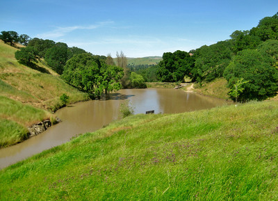 Deer Lake Restoration