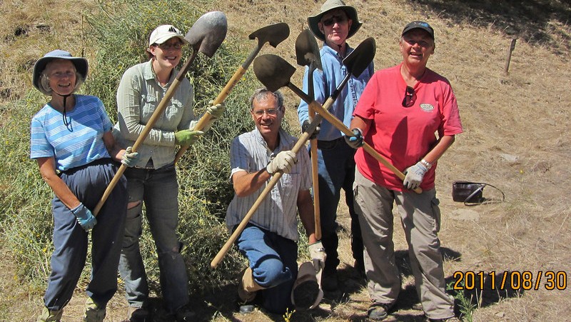 Shell Ridge Weed Eradication